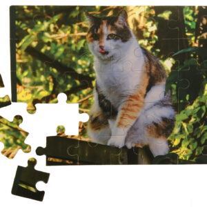 35-Piece Puzzle (280 x 190mm)