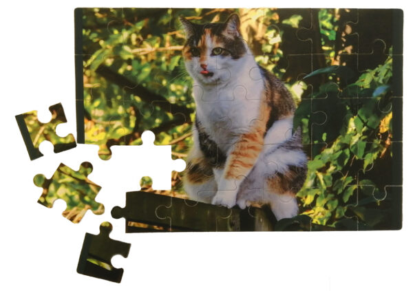 35-Piece Puzzle (280 x 190mm)